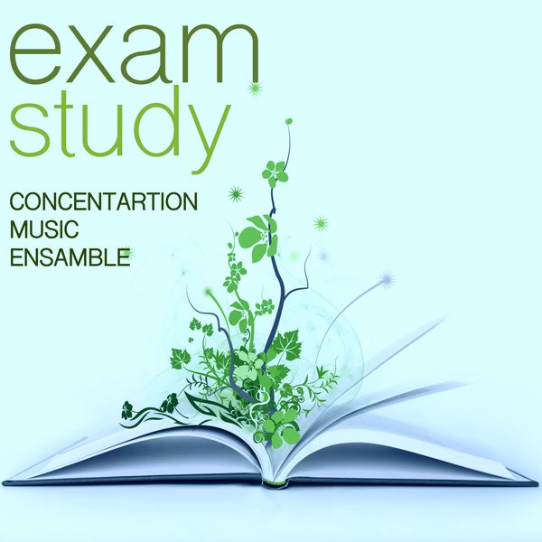 How to improve memory power tips concentration naturally picture 3