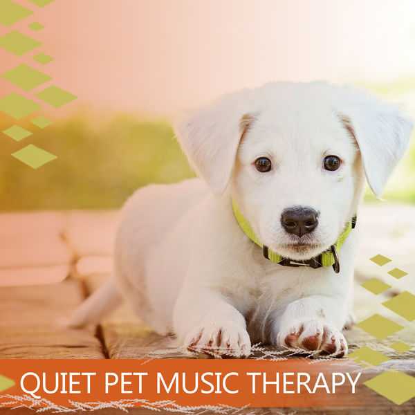 Quiet Pet Music Therapy Songs for Your Dog, Cat or Other Home Pet