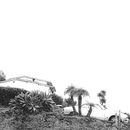 Hot Dreams | Timber Timbre