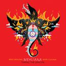 Mehliana: Taming The Dragon | Brad Mehldau