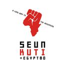 A Long Way To The Beginning | Seun Kuti & Egypt 80