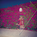 Pleasure | Feist