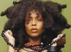 Erykah Badu New Amerykah, Part II : Return of the Ankh