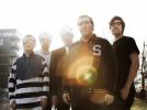 Hot Chip et chic