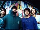 Animal Collective s'empare des ondes
