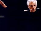 Ashkenazy à la baguette