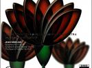 JEAN SIBELIUS Symphonie n° 2 op. 43 - Tapiola&nbsp;op.&nbsp;112 - Le&nbsp;Cygne&nbsp;de&nbsp;Tuonela&nbsp;op.&nbsp;22 n° 2
