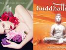 Plutôt Buddah Bar ou Hôtel Costes ?