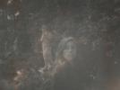 Les rêves de Julia Holter