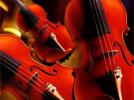 Archets légendaires Violons