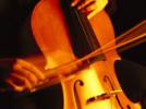 Archets légendaires Violoncelles