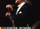 Show Bernstein