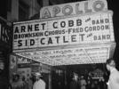 Amateur Night, 75 ans de révélations