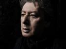 Bashung, (P)résident du rock