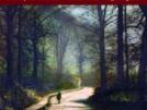 Richard Strauss Lieder (vol. 4)
