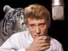 Tous Johnny !