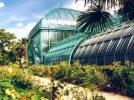 Dix ans de Solistes aux Serres d’Auteuil