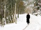 L’hiver selon Sting