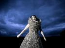 Björk retrouve Gondry