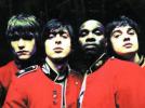 Les Libertines se reforment ?