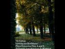 Ludwig van Beethoven Concertos pour piano n°4 et n°5 "L'Empereur"