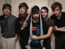 Foals Maître étalon