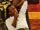 Miles est vivant