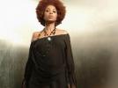 N’dambi, nouvelle fleur soul au Parc Floral