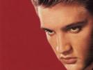 Une copie du Graceland d'Elvis au Danemark ?
