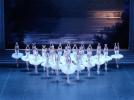 Tempête sous les plumes au Ballet de l'Opéra de Paris