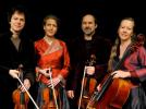 Quatuor Ludwig, une rencontre-podcast