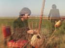 Le kora corps Stranded Horse
