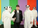 LCD Soundsystem débranche le son