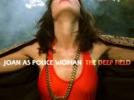 Joan As Police Woman transforme son essai