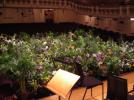 La musique fait pousser les plantes