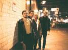 Wild Beasts illuminés