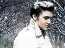 Santa Elvis