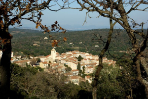XXVII - Les examens de fin d'année - Ramatuelle - L'Ariège  Entretien avec André Tubeuf 