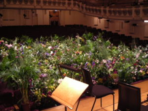 La musique fait pousser les plantes