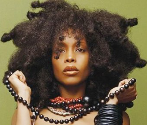 Erykah Badu New Amerykah, Part II : Return of the Ankh