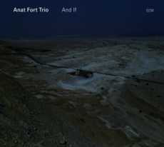 Anat Fort Trio And If