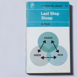 Last Step — Sleep 