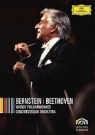 Show Bernstein