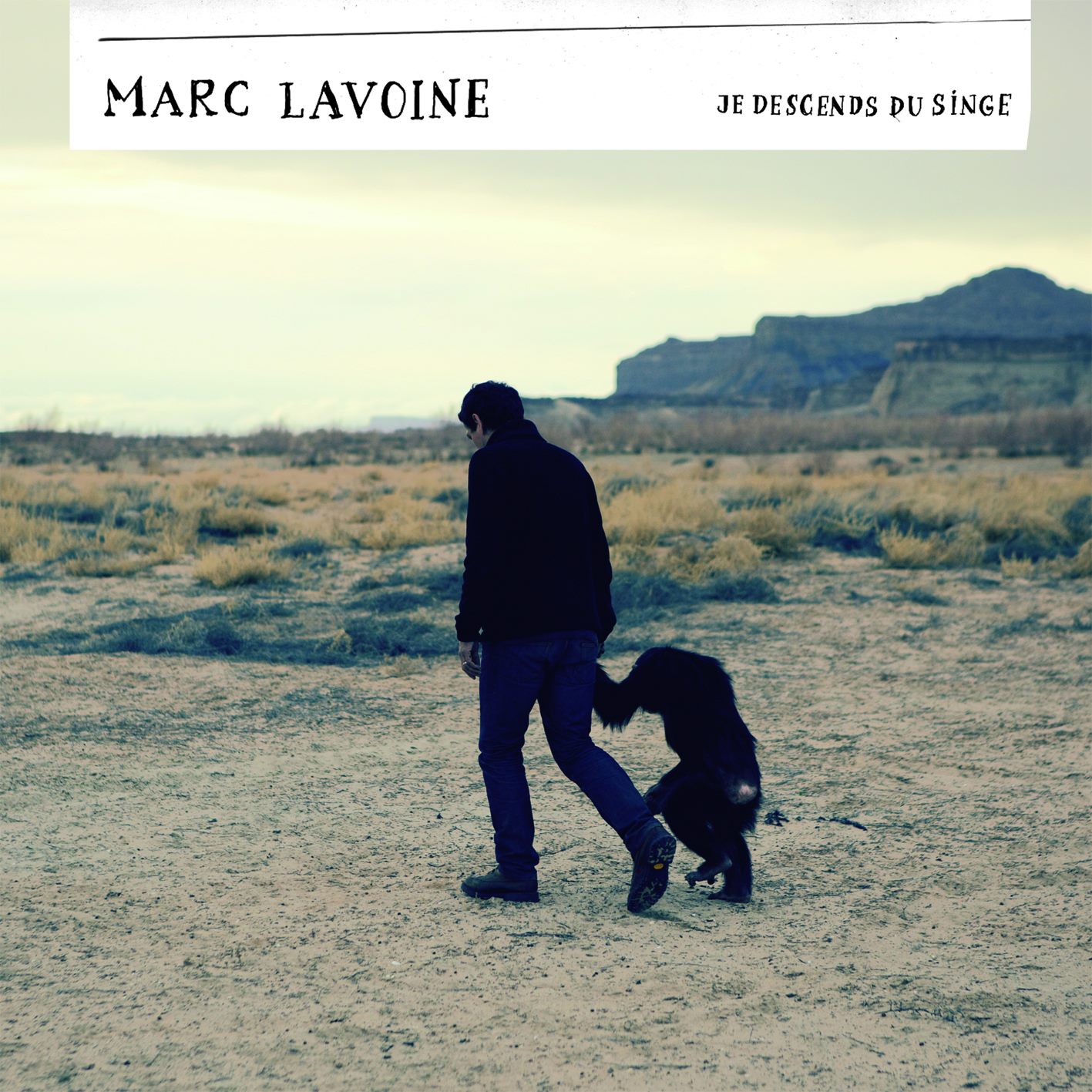 Marc Lavoine Je descends du singe