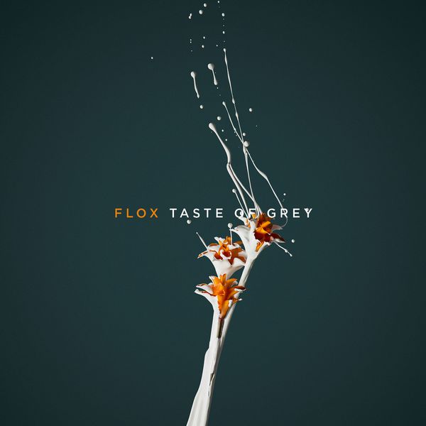 Flox - Taste of Grey Flox - Taste of Grey