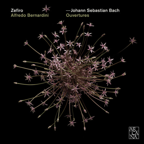 Zefiro - Bach: Overtures (Orchestral Suites) Zefiro - Bach: Overtures (Orchestral Suites)