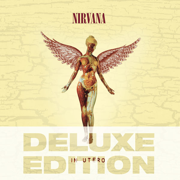 Nirvana|In Utero (20th Anniversary Deluxe Edition)