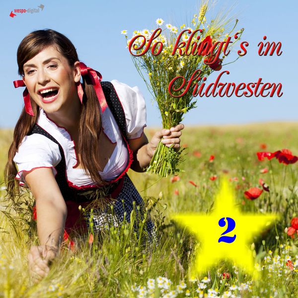 Various Artists - So klingt's im Südwesten (2) Various Artists - So klingt's im Südwesten (2)