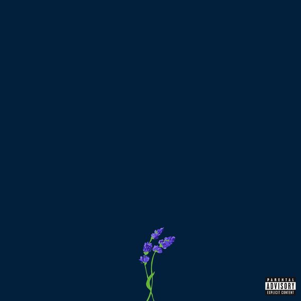 gnash|us gnash|us