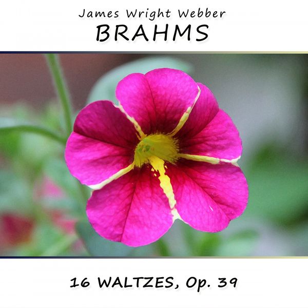 James Wright Webber|Brahms: 16 Waltzes, Op. 39